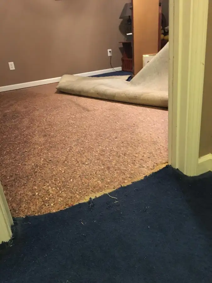 Carpet pad removal revealing water damage during Drying & Dehumidification in Tarpon Springs