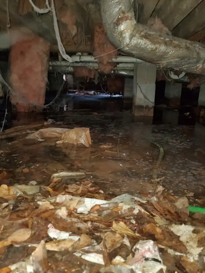 Crawl space flood assessment for Commercial Water Damage Restoration in Tarpon Springs