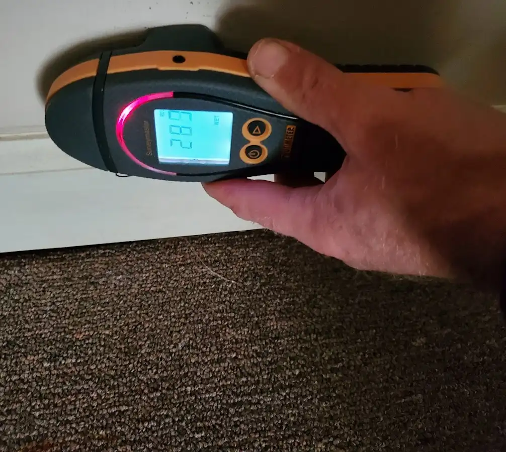 Moisture detection at baseboard during Sewage Cleanup & Sanitation in Tarpon Springs